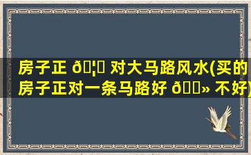房子正 🦆 对大马路风水(买的房子正对一条马路好 🌻 不好)